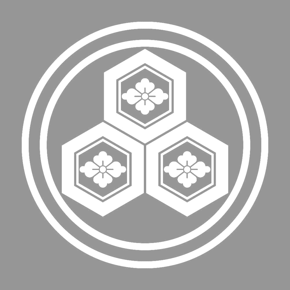 二重輪に三つ盛り亀甲花菱紋 7