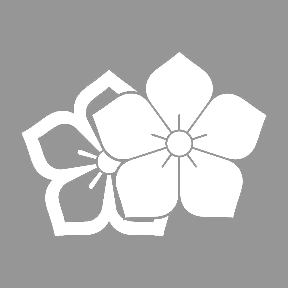 比翼桔梗紋 7