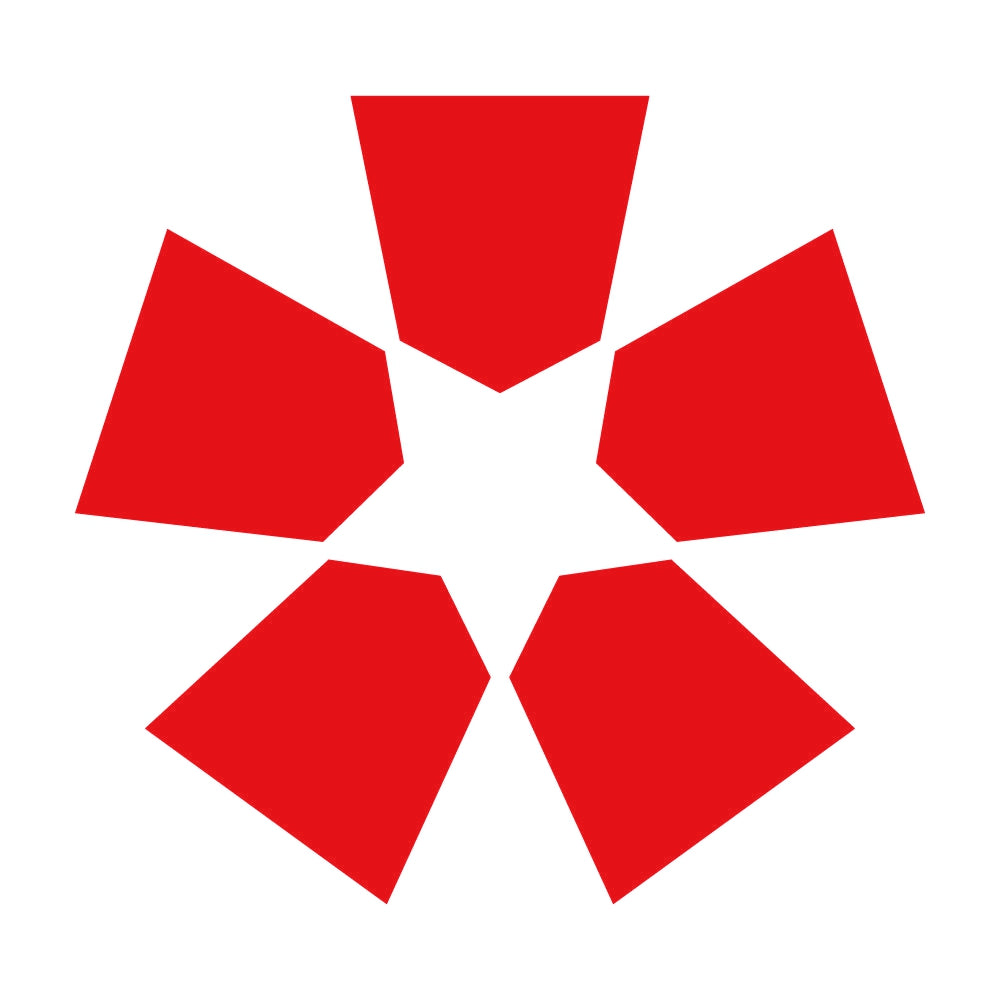 五つ将棋駒紋 8
