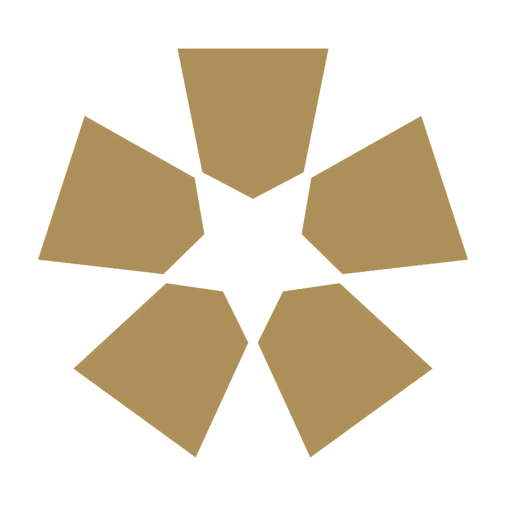 五つ将棋駒紋 9