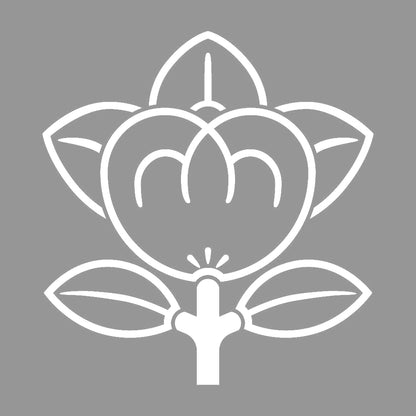 陰橘紋 7