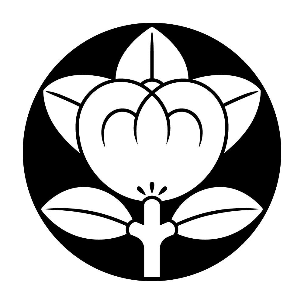 石持ち地抜き橘紋