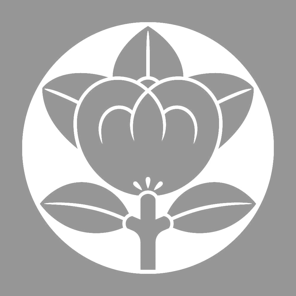 石持ち地抜き橘紋 7