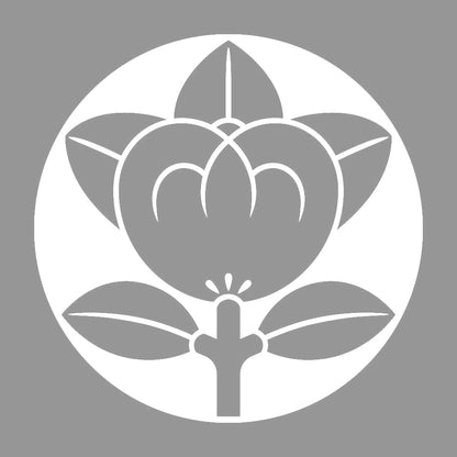 石持ち地抜き橘紋 7