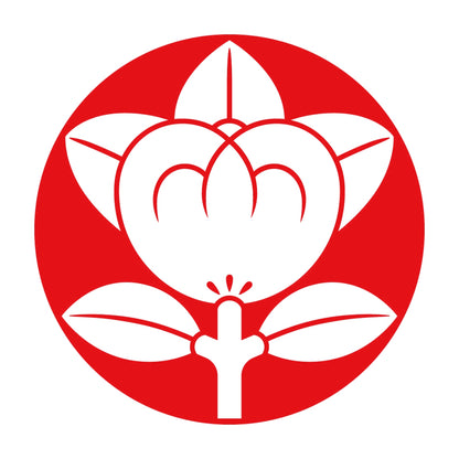 石持ち地抜き橘紋 8