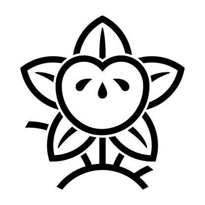 陰光琳枝橘紋