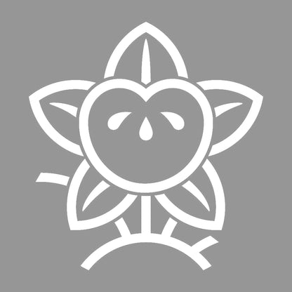 陰光琳枝橘紋 7