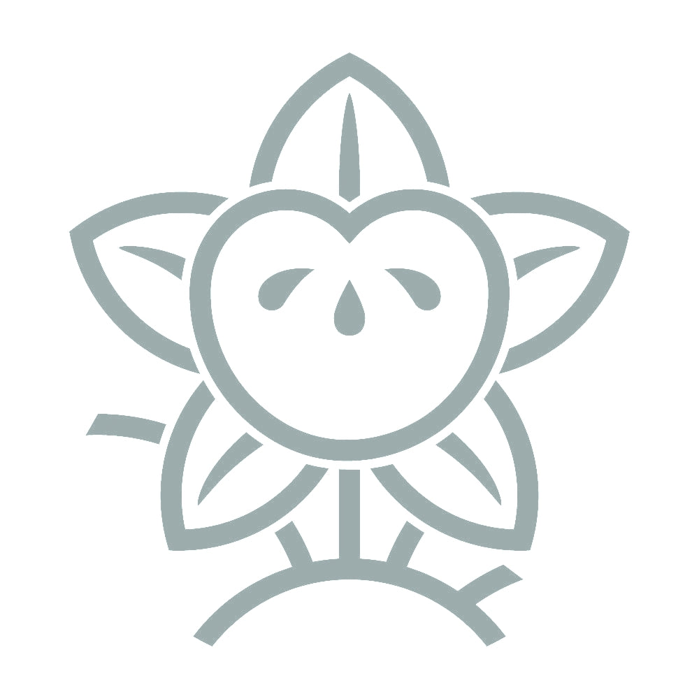 陰光琳枝橘紋 10
