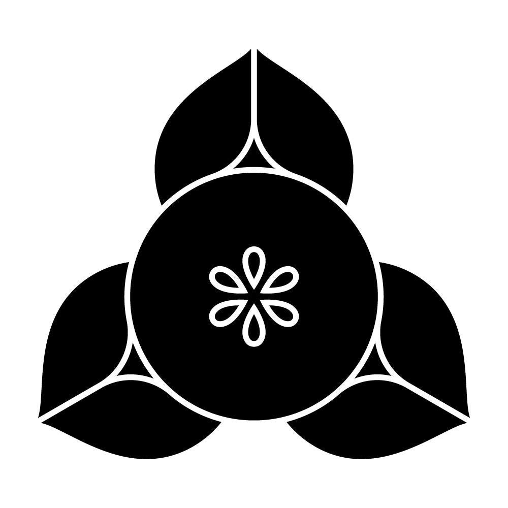 変わり向こう橘紋