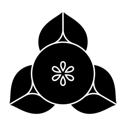 変わり向こう橘紋