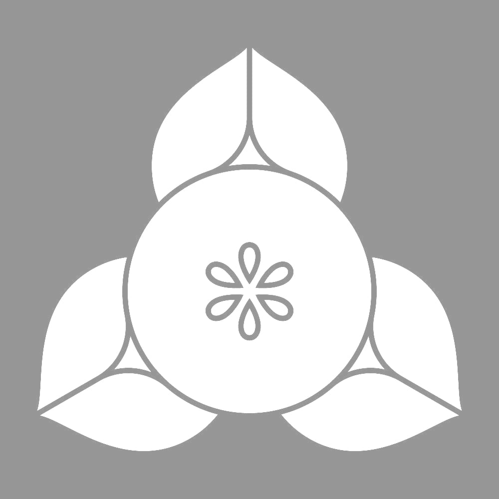 変わり向こう橘紋 7