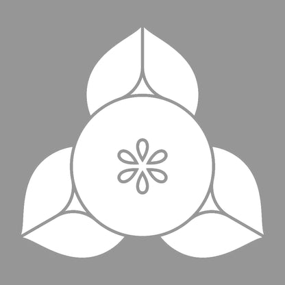 変わり向こう橘紋 7