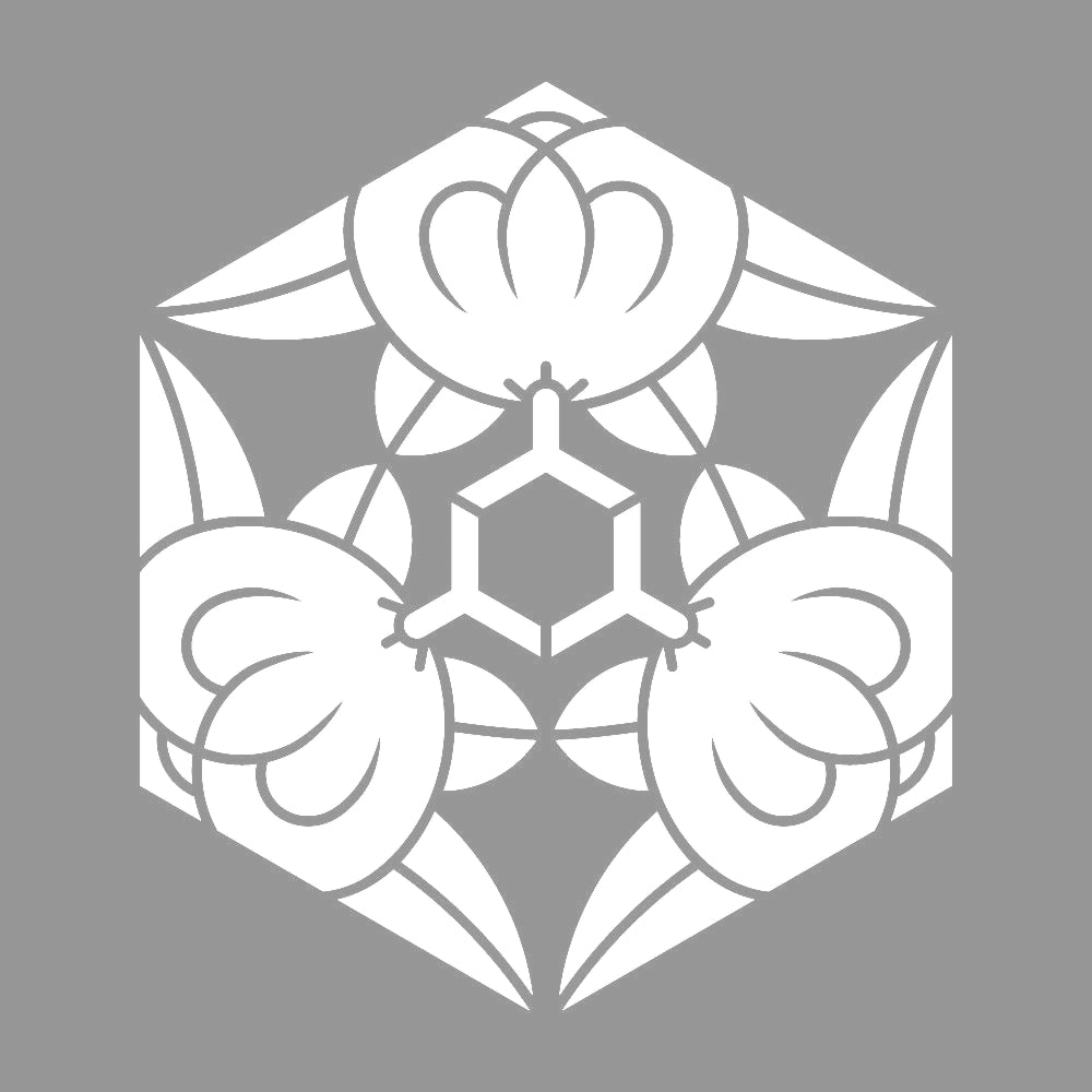 三つ橘亀甲紋 7