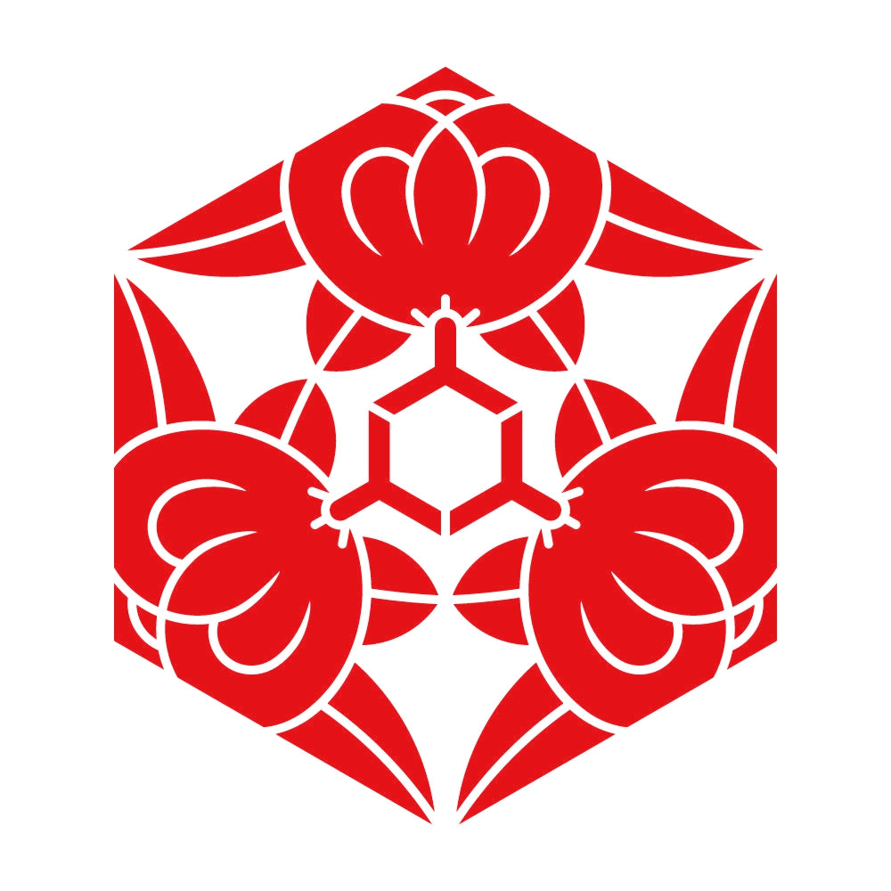 三つ橘亀甲紋 8