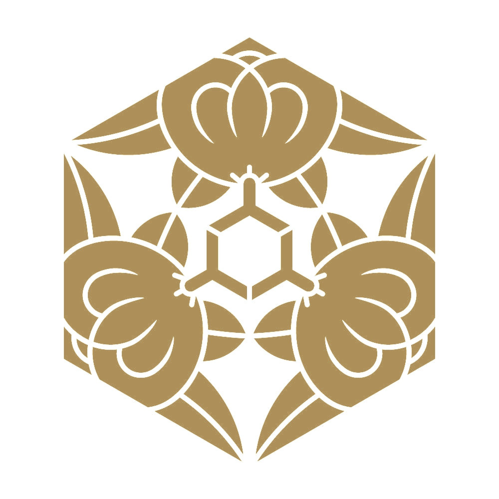 三つ橘亀甲紋 9