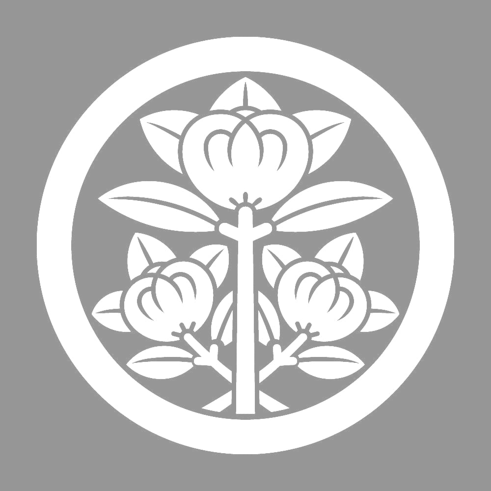薬師寺橘紋 7