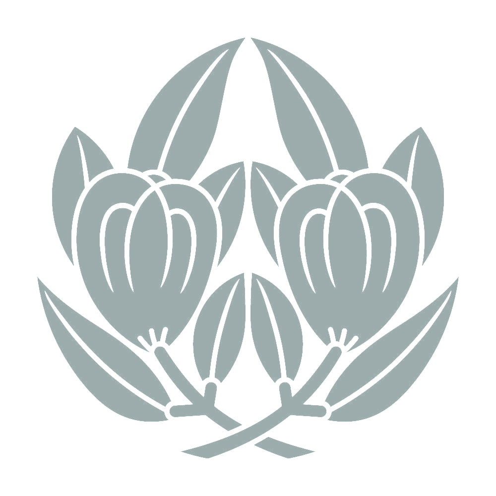 抱き橘紋 10