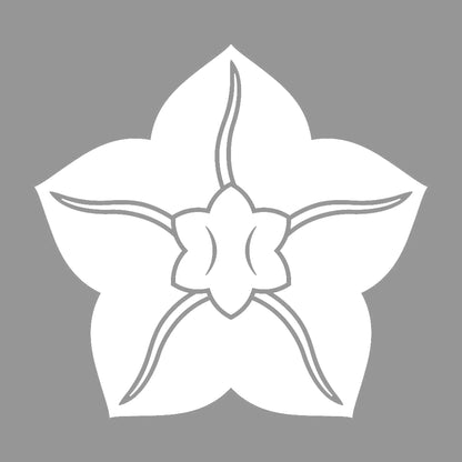 五曜鉄線紋 7