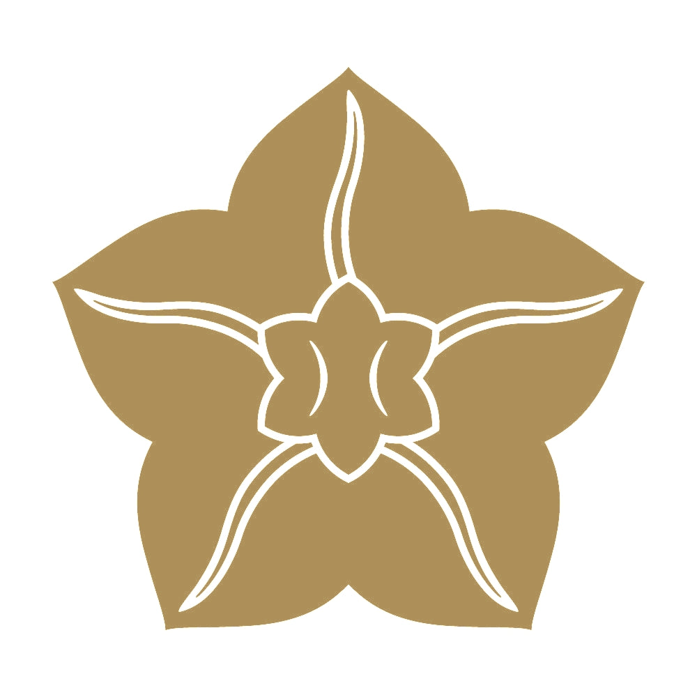 五曜鉄線紋 9