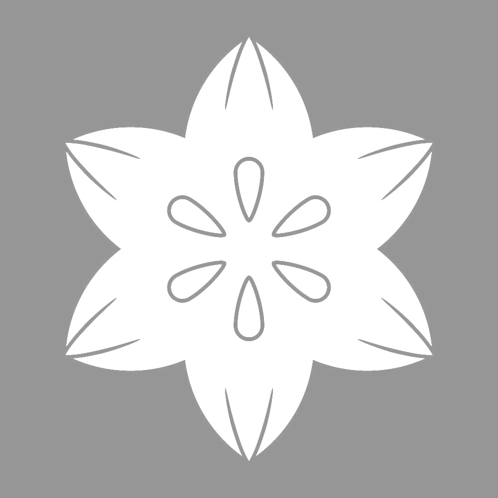花鉄線紋 (B) 7