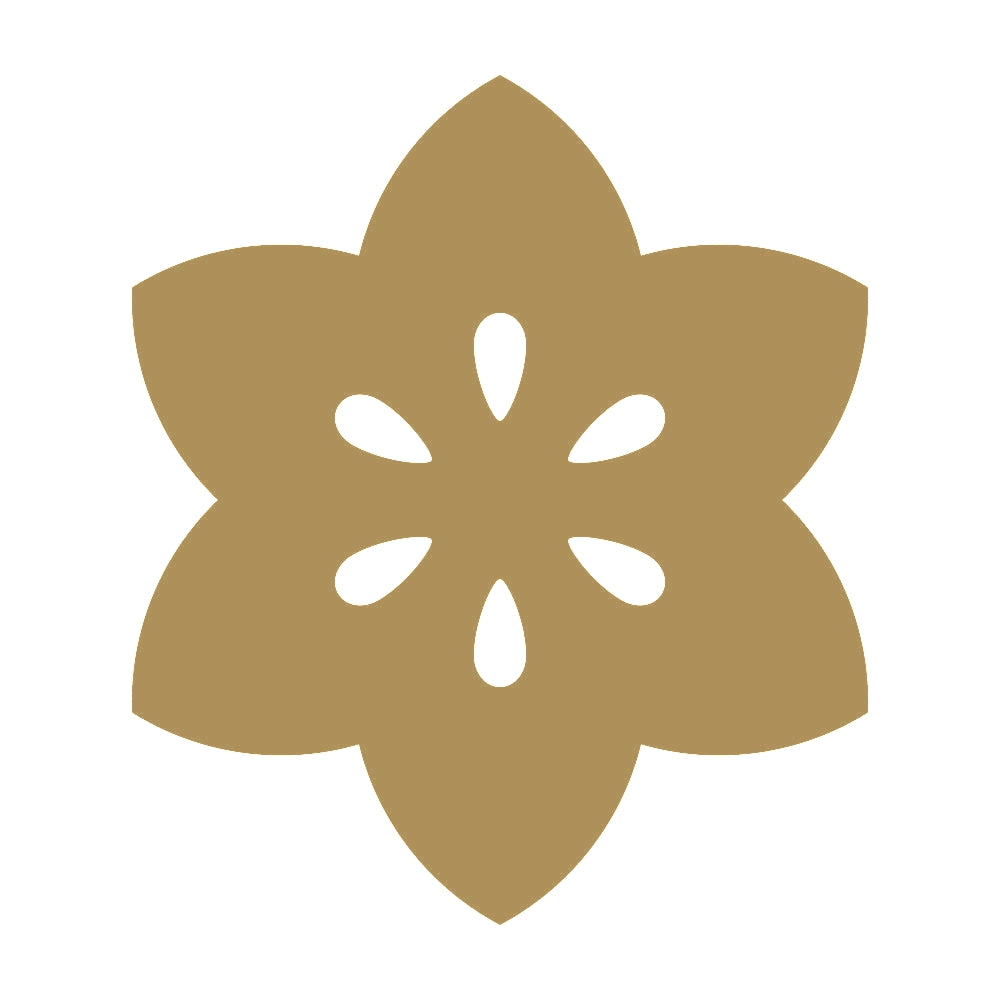 光琳鉄線紋 9