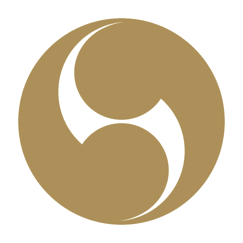 右二つ巴紋 9