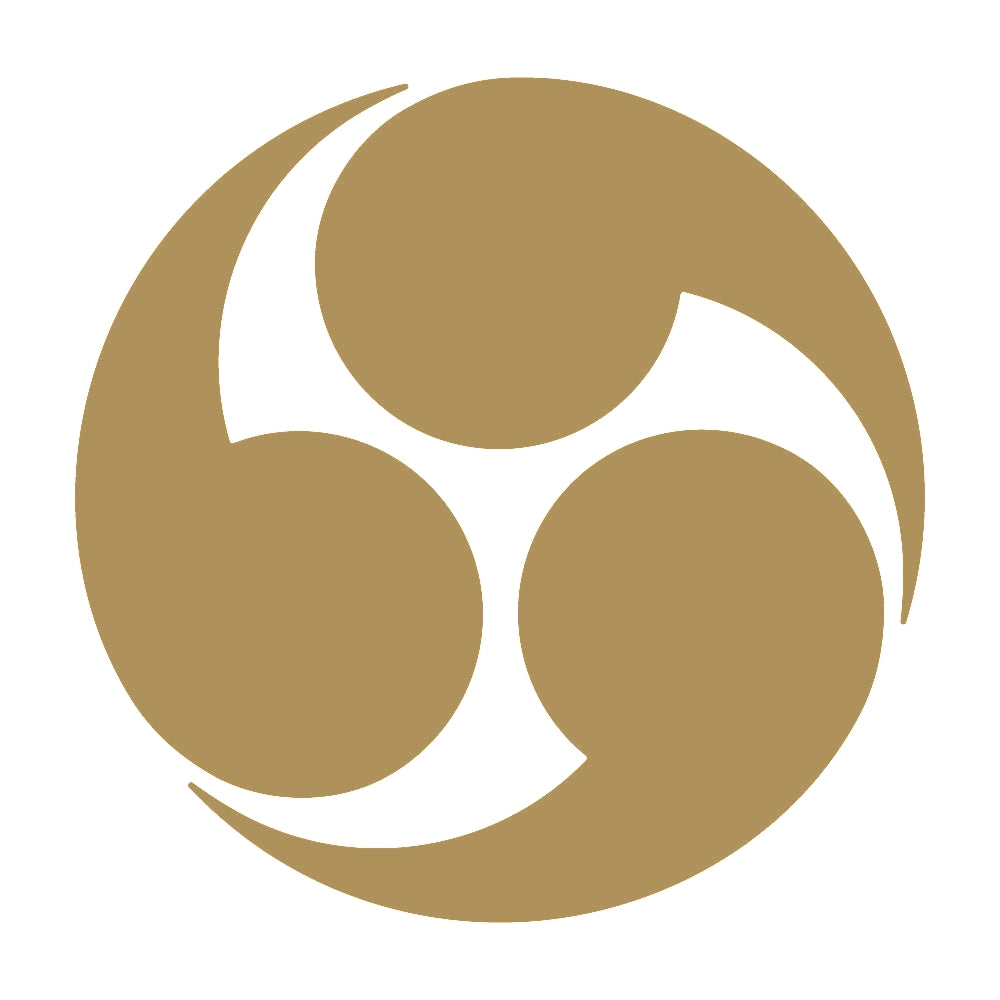 右三つ巴紋 9