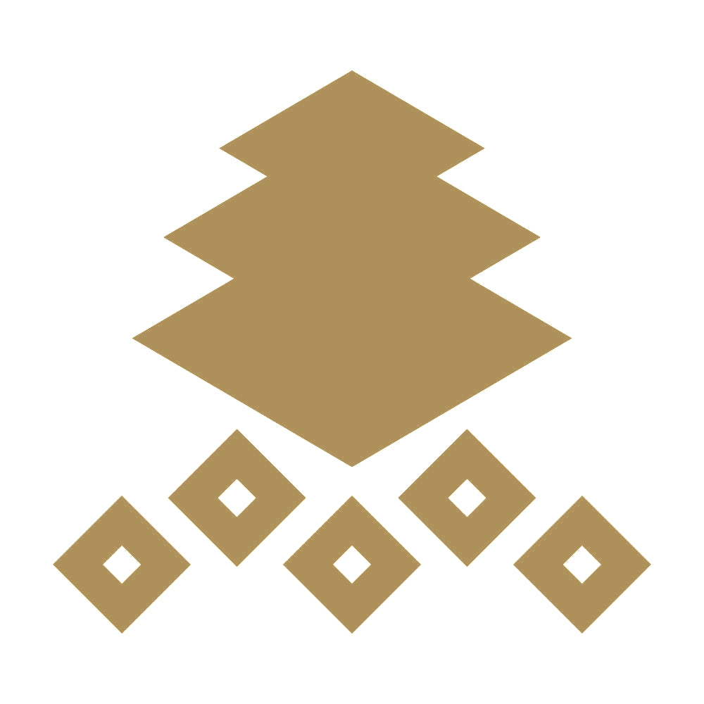 三階菱に五つ釘抜き紋 9