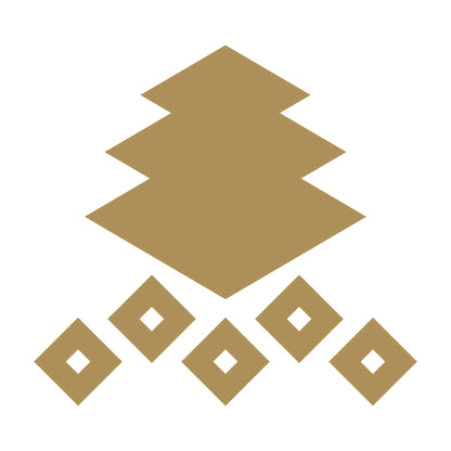 三階菱に五つ釘抜き紋 9