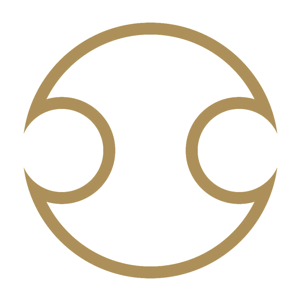 中陰分銅紋 9