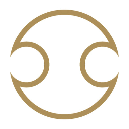中陰分銅紋 9
