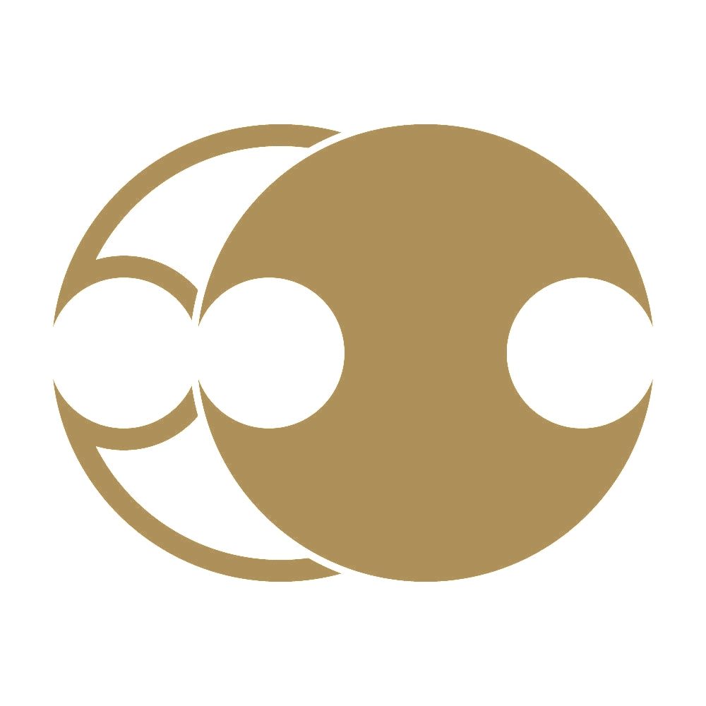 陰陽分銅紋 9