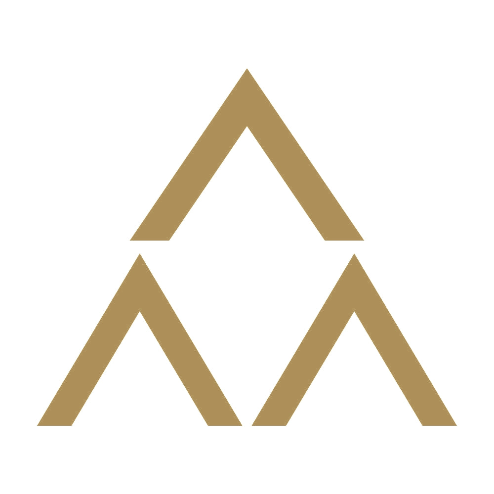 三つ盛り山形紋 9