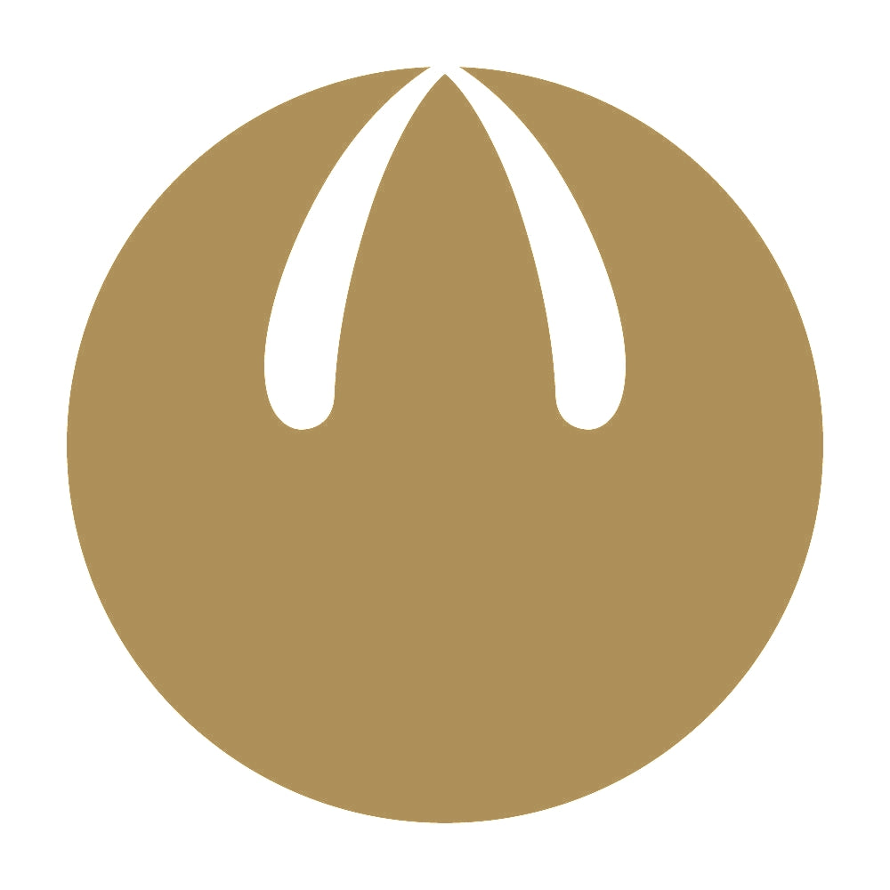 山の字丸紋 9