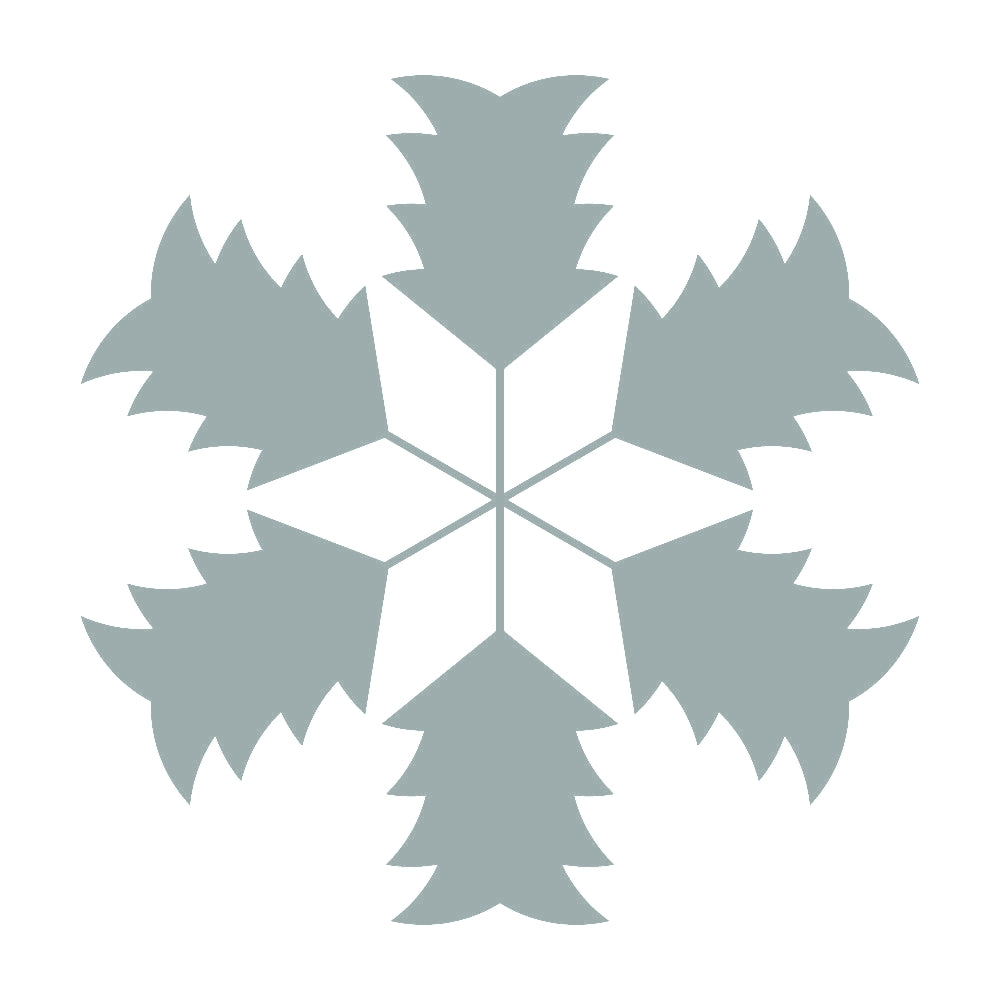 山谷雪紋 10