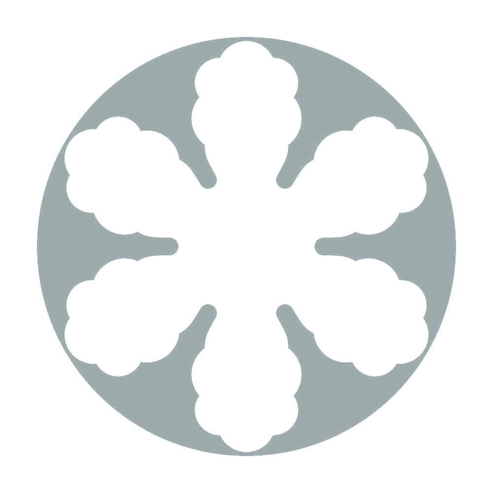 石持ち雪紋 10