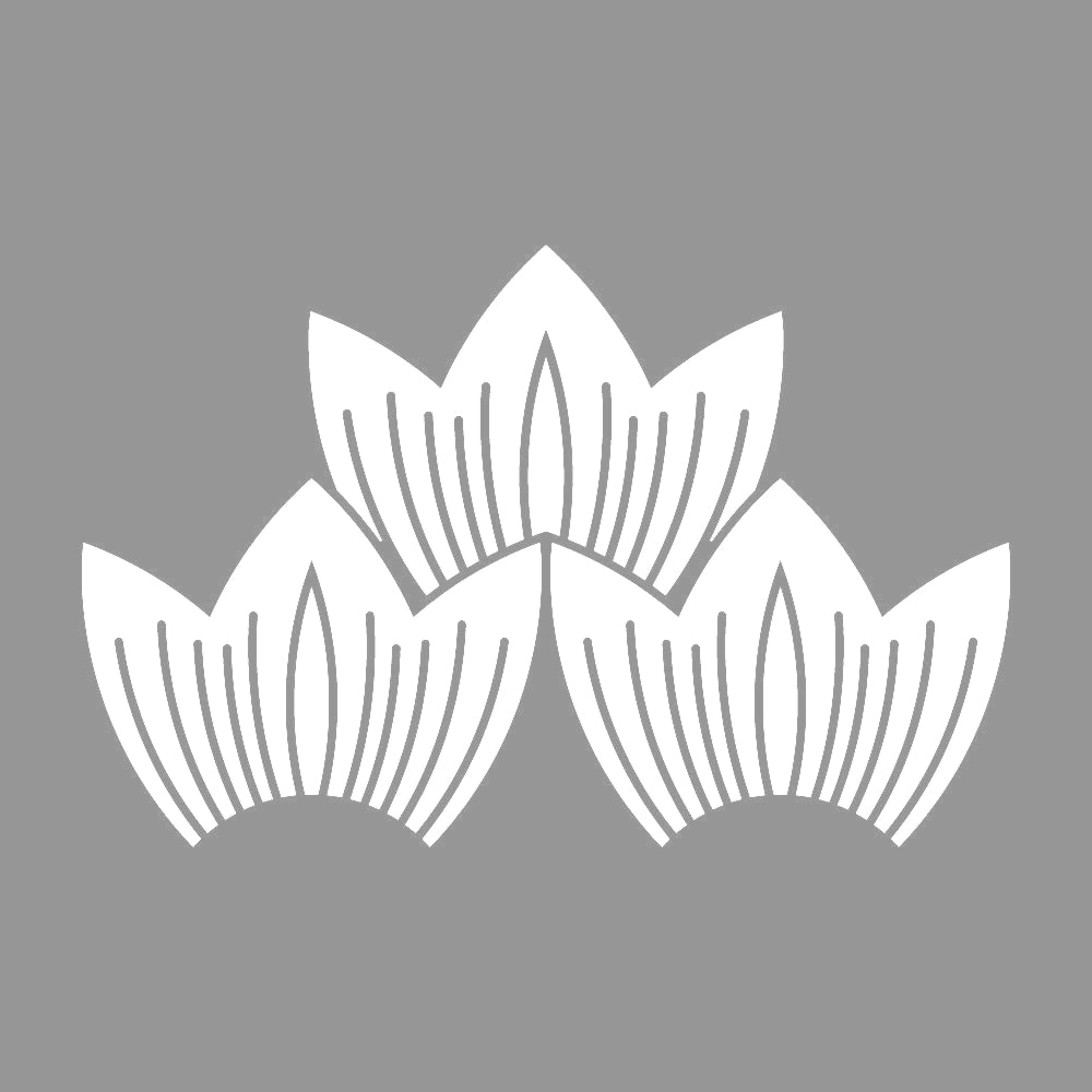 龍の鱗紋 7