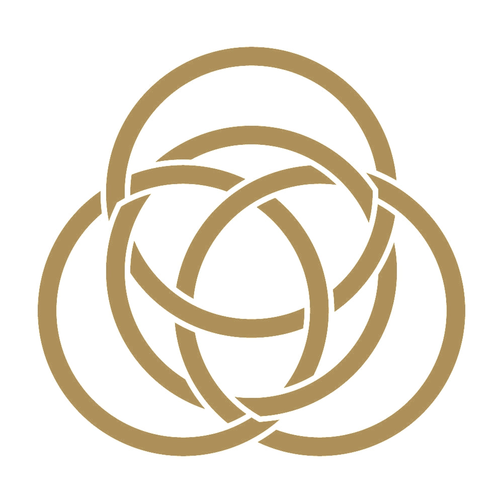 四つ組み金輪紋 9