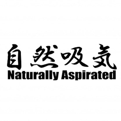 自然吸気 Naturally Aspirated