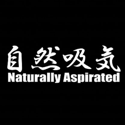 自然吸気 Naturally Aspirated