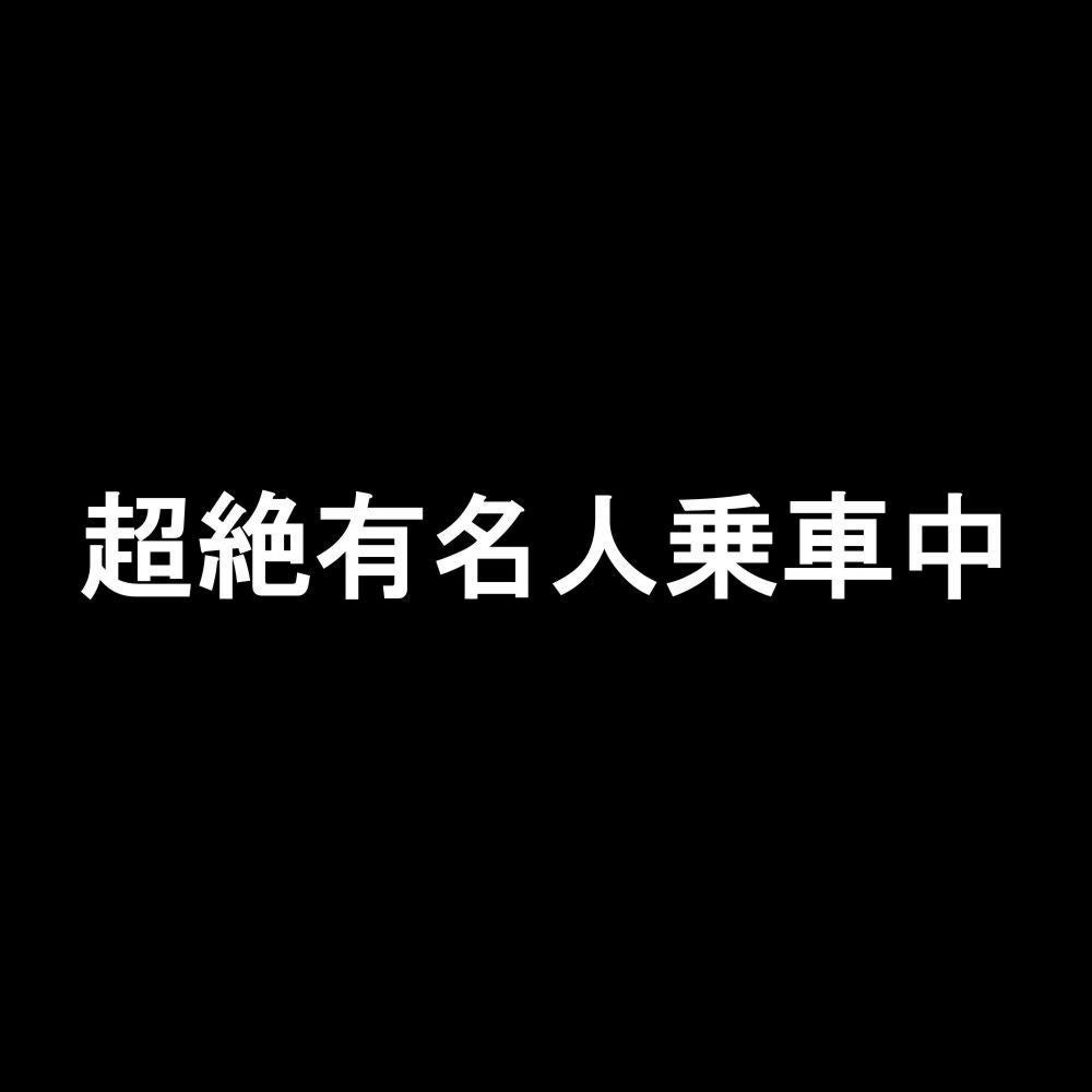 超絶有名人乗車中