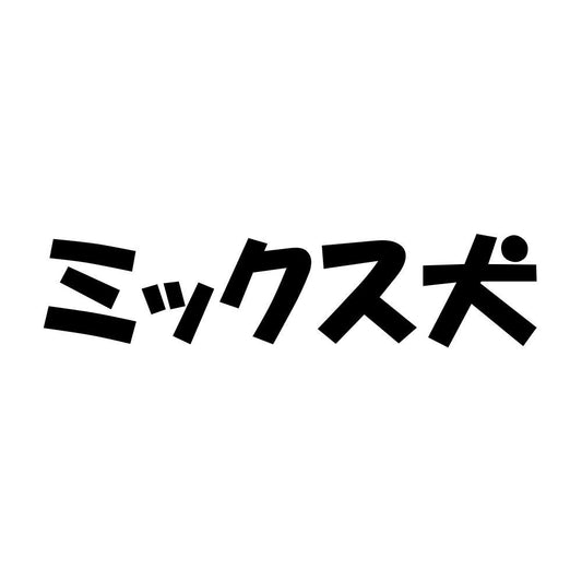ミックス犬