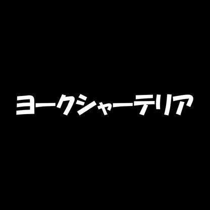 ヨークシャーテリア