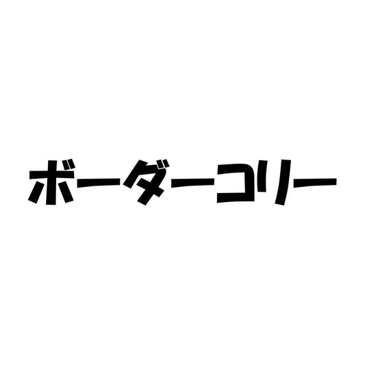 ボーダーコリー