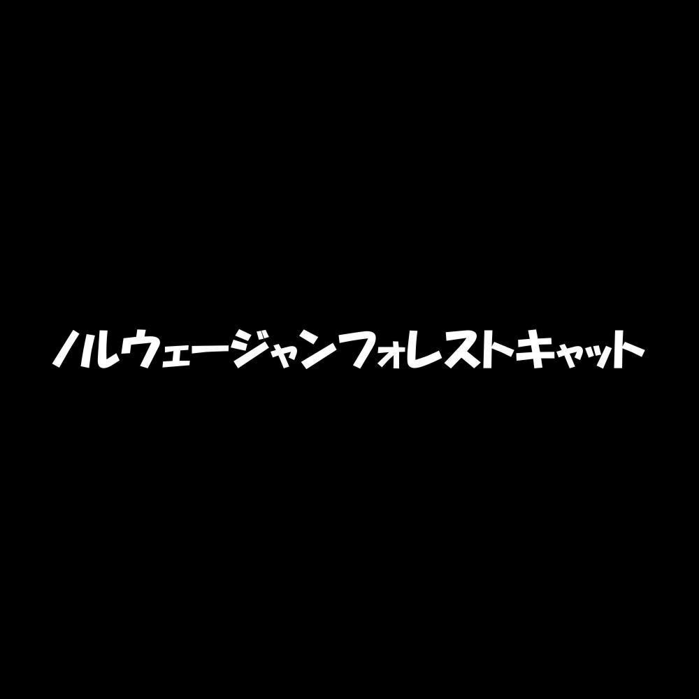 ノルウェージャンフォレストキャット