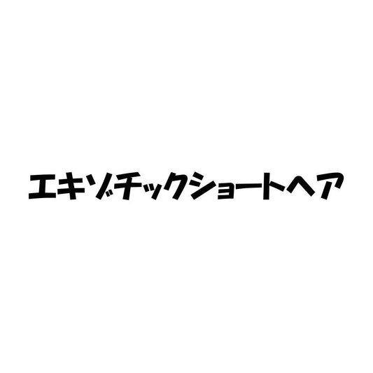 エキゾチックショートヘア